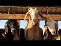 Curso Administração da Pequena Empresa Rural