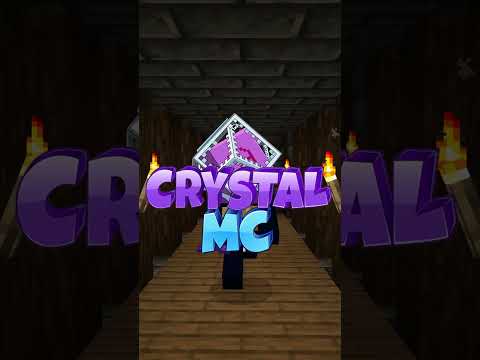 The truth about the DONUTSMP... #minecraft