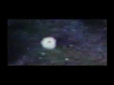 Dan Aykroyd Unplugged on UFOs - 5 of 8