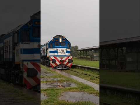 9019 y el 105 por Azul #lineagralroca #ferrosurroca #railway #parati #railfanning