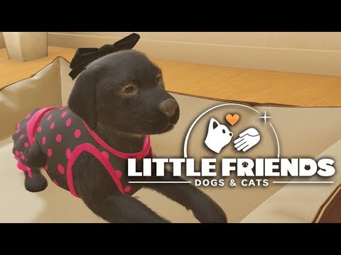 Little Friends: Dogs & Cats - Every Dog Has Its Day
