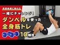 一緒にチャレンジ!ダンベルを使った全身筋トレ【10種目】