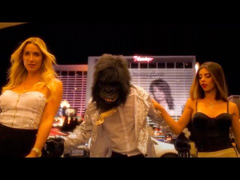 Tom Kray - Roda Vibrante (Official Music Video )