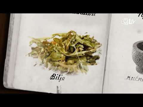 Zlatni savjeti - Jaglac