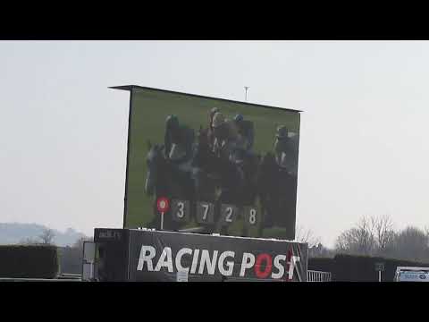 2016年3月17日。チェルトナム競馬場JLT NOVICES' STEEPLE CHASE。勝馬：Black Hercules（R. Walsh騎手）