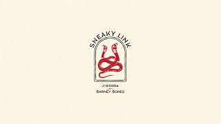 J. Worra - Sneaky Link feat. Barney Bones [Ultra Records]