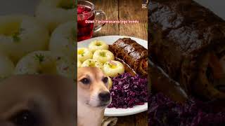 dzień 7 przywracania tego trendu #shorts #67k #1ksubscribers #kluski #śląskie #kompot #modra