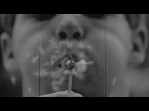 Onda video