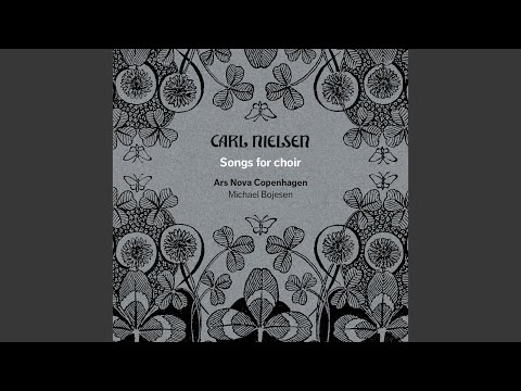 Du danske mand! Af al din magt, CNW 288