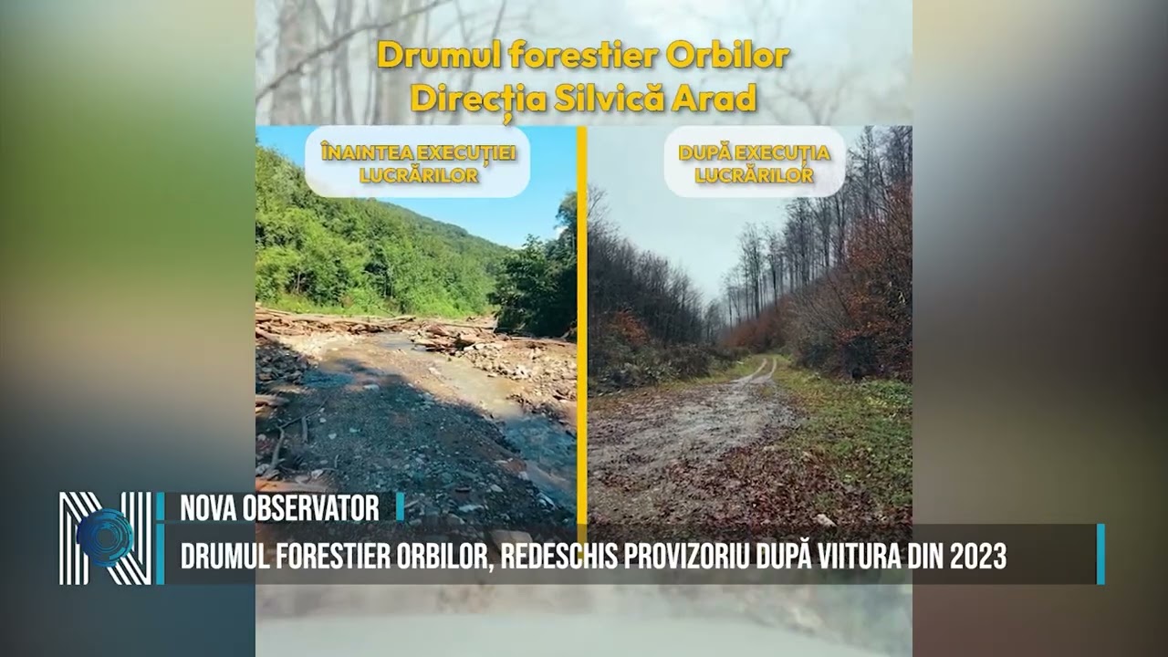 Drumul forestier Orbilor, redeschis provizoriu după viitura din 2023