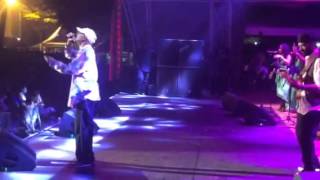 Love From A Distance