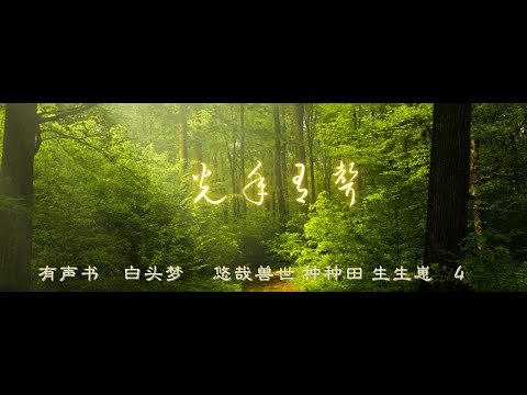 種種田 生生崽