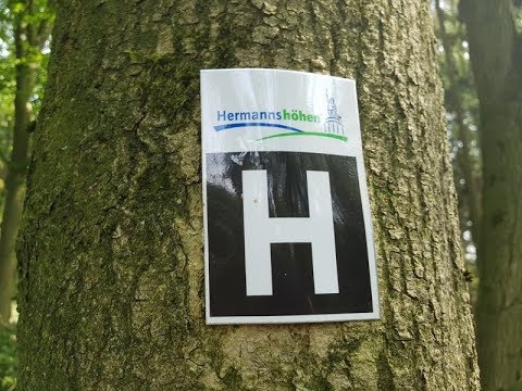 Der Hermannsweg - 4. Etappe / Von Bad Iburg nach Dissen