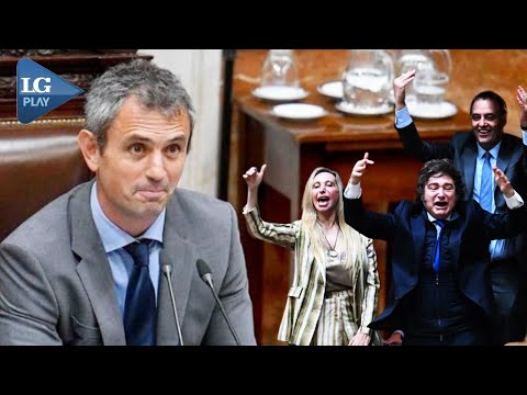 Martín Menem fue reelecto como presidente en Diputados