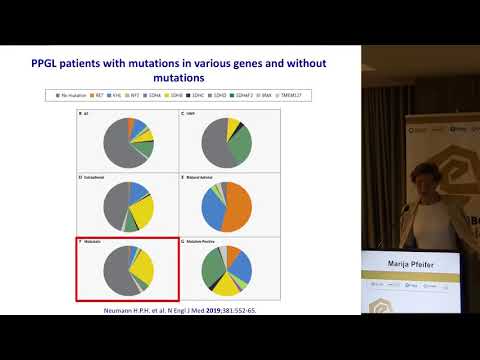 Μarija Pfeifer - Management of malignant phaeochromocytoma