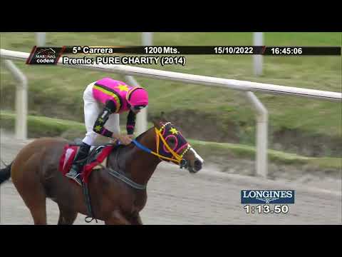 221015 c05 HALACAZAN (BRZ)