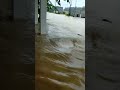 Jalan Arah Citerep Ke Cibaliung Tertutup Air