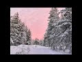 Vladislav Delay - Lumi