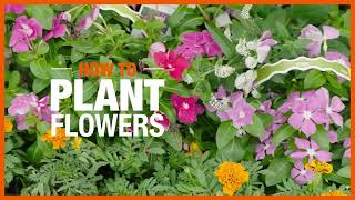 The Home Depot 🌼 How to Plant Flowers – The Home Depot (2026) | Complete Breakdown & Gardening Guide