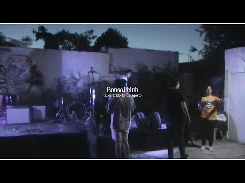 bonsai club - taller árido