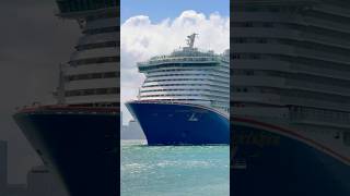 Carnival Celebration 🛳️ #share #like #subscribe #comment #cruise #vacation #shortvideo #shortsvideo