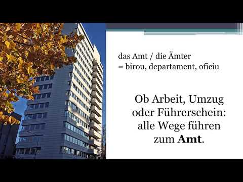 Germana pentru incepatori. Lectia 89. Ämter und Behörden