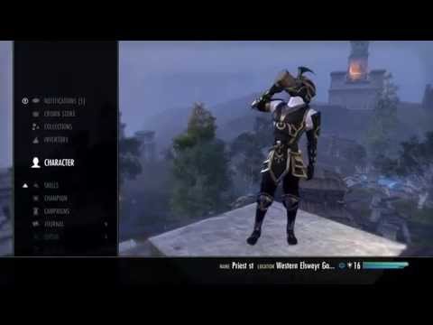 (Old) ESO Xbox/PS4: Stamina Templar Dual Wield PvP Build.