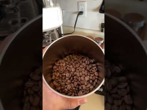 Airscape Coffee Canister