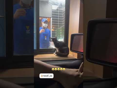 مقتطفات سناباتنا