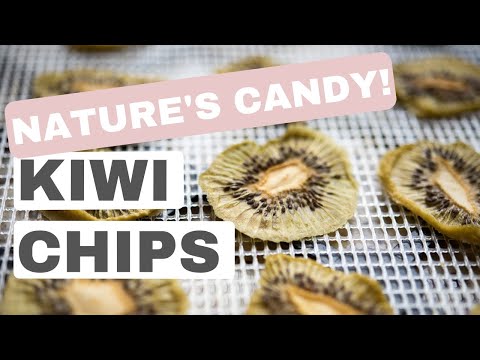 download lagu mp3 mp4 Paleo Kiwi Recipes, download lagu Paleo Kiwi Recipes gratis, unduh video klip Paleo Kiwi Recipes