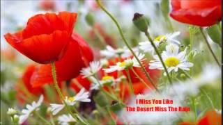 Tanita Tikaram - I Miss You Like The Desert Miss The Rain