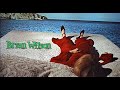 BRIAN WILSON | WONDERFUL
