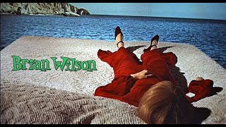 BRIAN WILSON | WONDERFUL