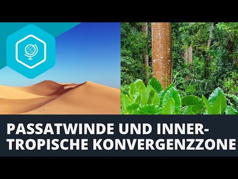 Passatwinde und Innertropische Konvergenzzone