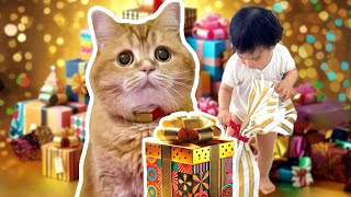 兄猫からの心温まるプレゼント｜弟の幸せを最優先にした兄猫が報われる瞬間…【厳選まとめ】
