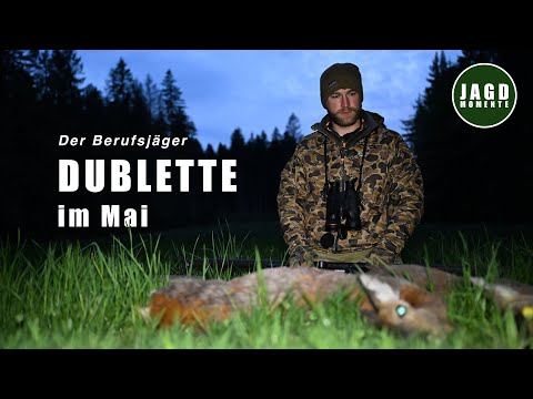 THE PROFESSIONAL HUNTER | Effective hunting in May and hunting ground work
