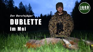 DER BERUFSJÄGER | Effektive Jagd im Mai und Revierarbeiten