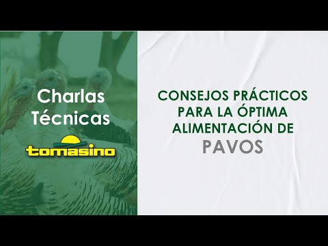 , title : 'Charla Técnica Tomasino - Consejos prácticos para la óptima alimentación de pavos'