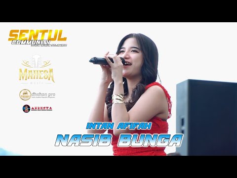 NASIB BUNGA ~ INTAN AFIFAH ~ MAHESA MUSIC LIVE SENTUL COMMUNITY