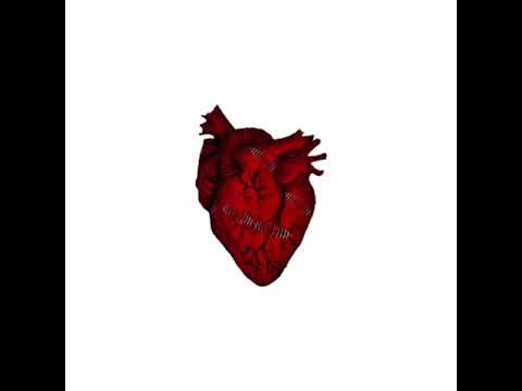 Scars (Official Audio)