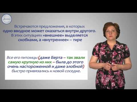 Выделительные знаки препинания при вводных словах, вводных сочетаниях слов и вводных предложениях