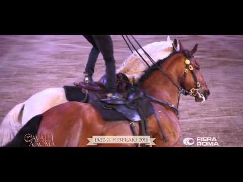 Cavalli a Roma. Il Salone dell'Equitazione e dell'Ippica a Fiera Roma