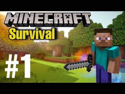 From Noob to Ninja in 1 Day! Minecraft Epic Saga