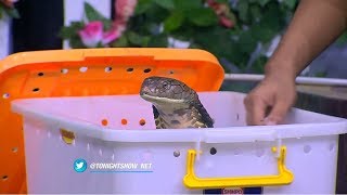 Download lagu Desta & Vincent Histeris, Ketemu dengan 'Temannya' Panji mp3 Download lagu Desta & Vincent Histeris, Ketemu dengan 'Temannya' Panji mp3