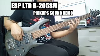 Video thumbnail for ESP LTD B-205SM (Pickups Sound Demo) by Caney Boniface