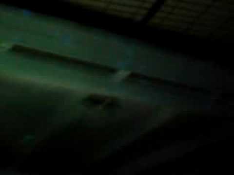 david morales aurora 2008