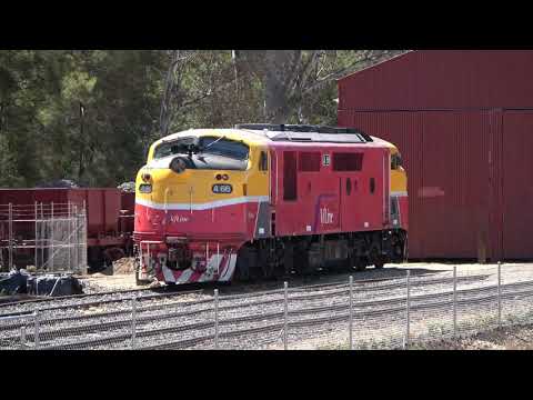 COLD DIESEL LOCOMOTIVE STARTUP - V/Line Passenger A66
