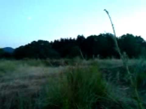 Trüppi Arnsberg 18.07.2010