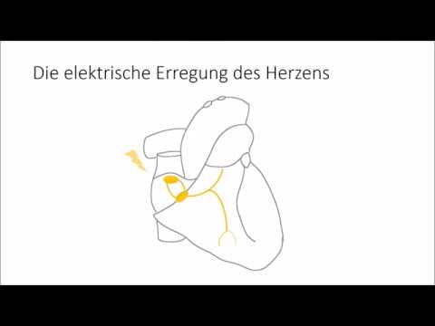 Kompletter medikalisch EKG Crashkurs in EINEM Video ;)