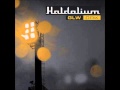 haldolium photographic(progressive 2011) 